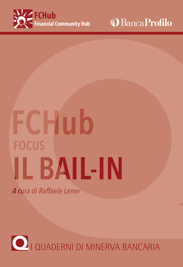 FcHub focus. Il Bail in